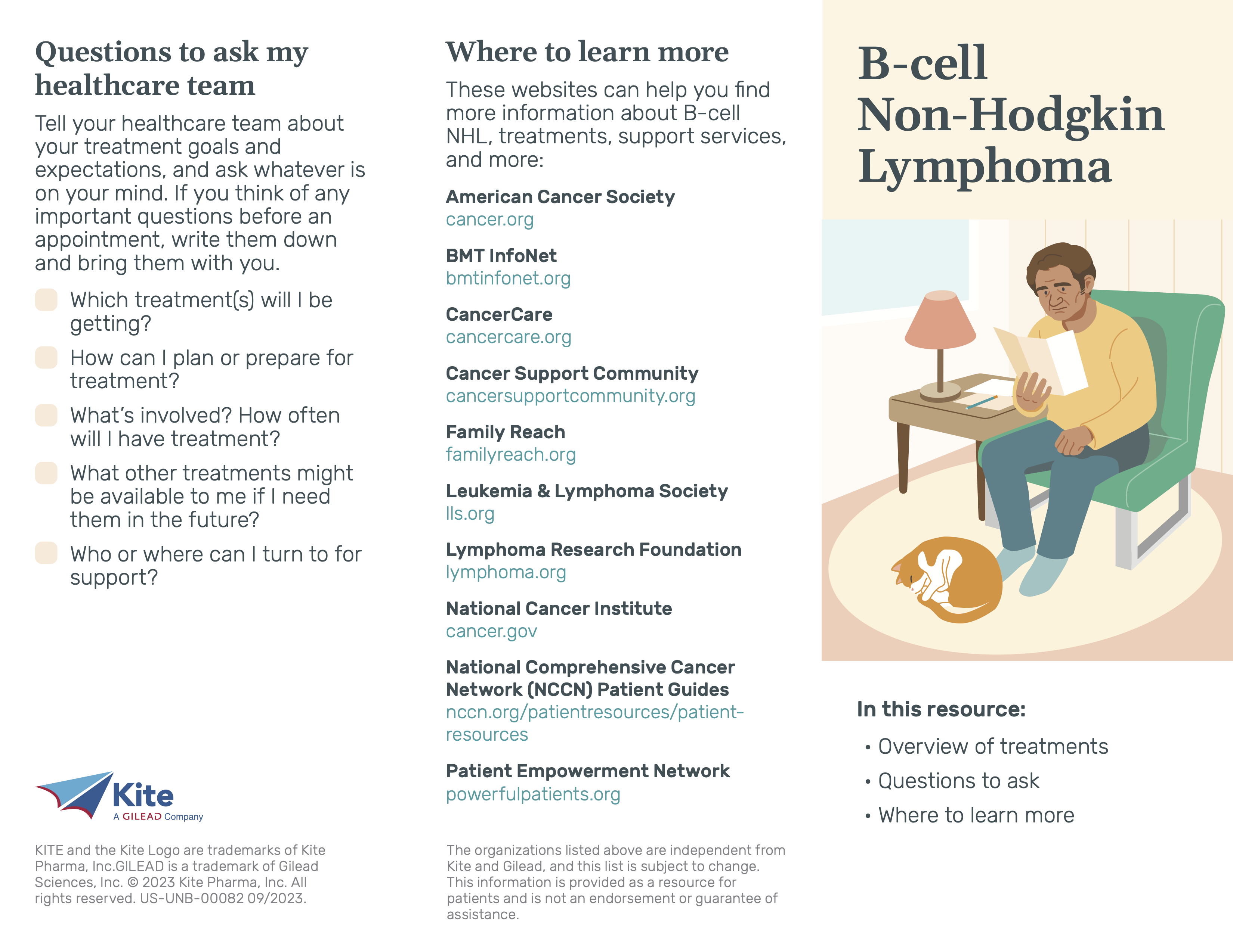 Pop-up preview of B-cell Non-Hodgkin Lymphoma (print version), page 2.