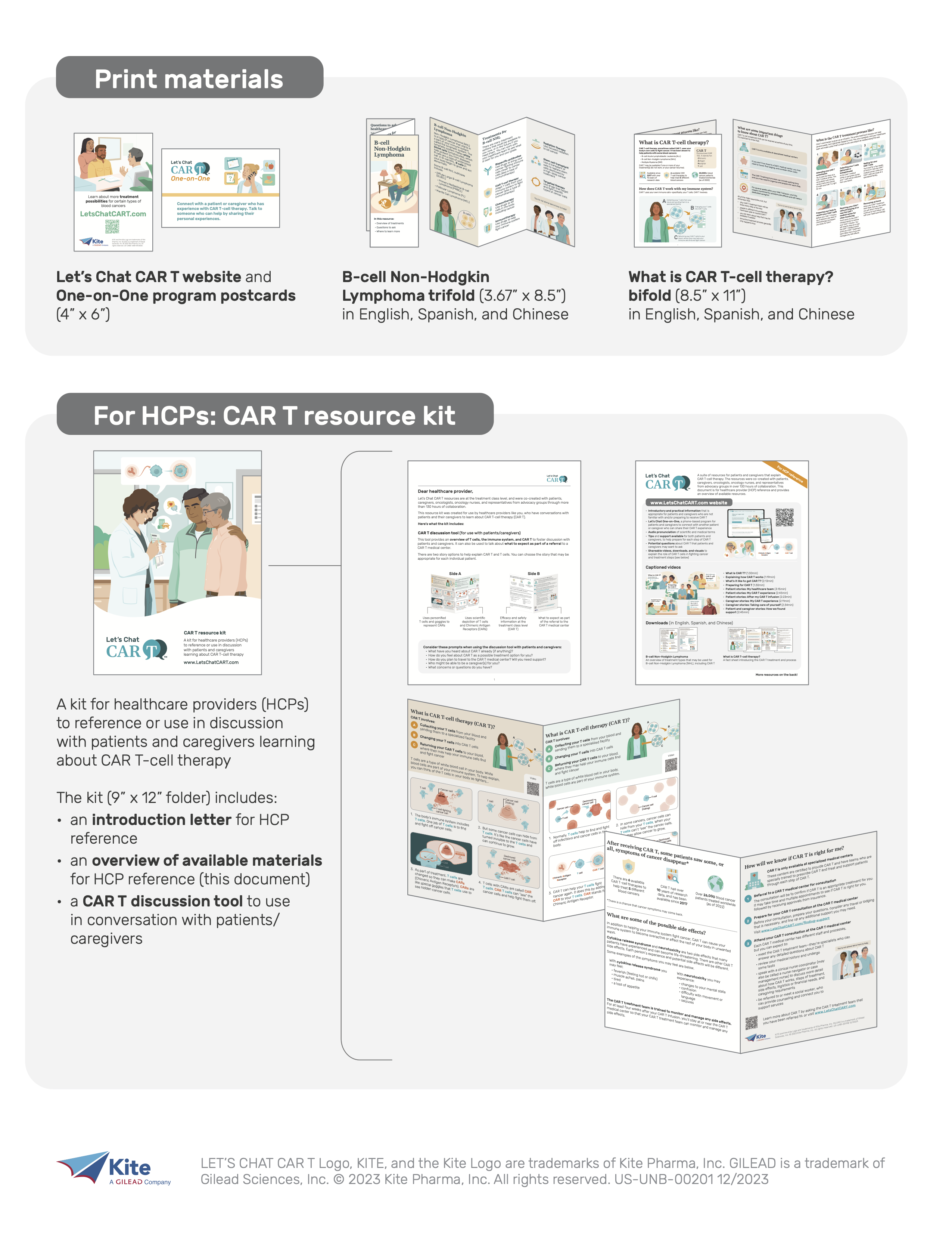 Pop-up preview of HCP CAR T Resource Kit (print version), page 5.